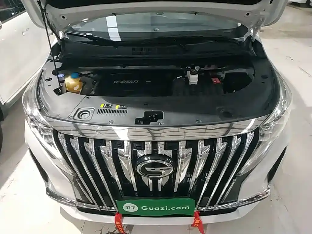 GAC Motor Trumpchi M8 — миниатюра 20