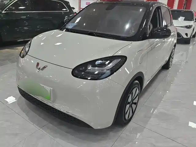 2024 Wuling Motors Binguo
