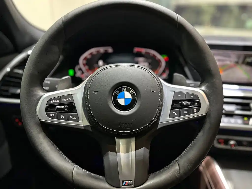 BMW X6 2020 xDrive30i M Sport