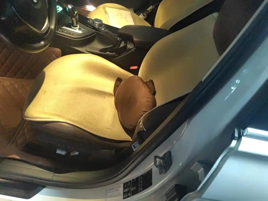 BMW 3 Series 3 2019 320Li xDrive Fashion