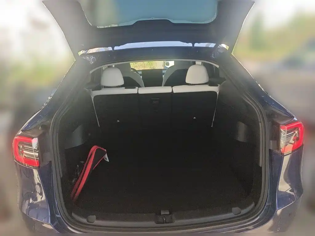 Tesla Model Y — миниатюра 20