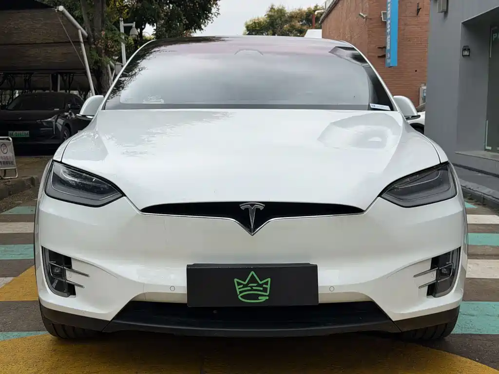 Tesla Model X — миниатюра 2