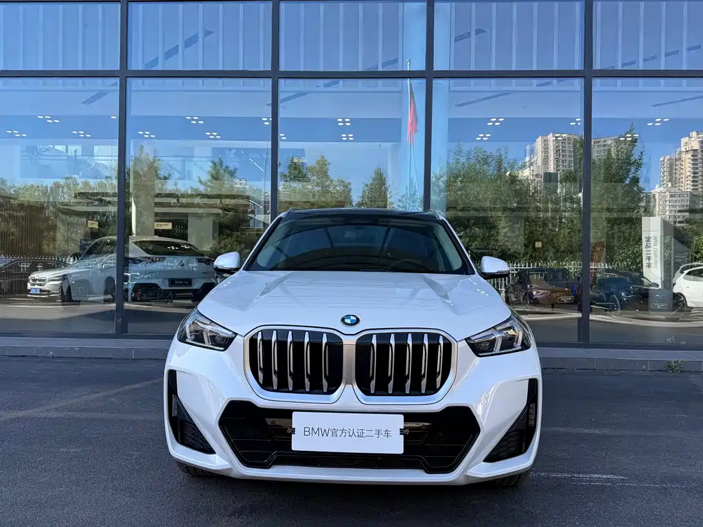 BMW X1 — миниатюра 2