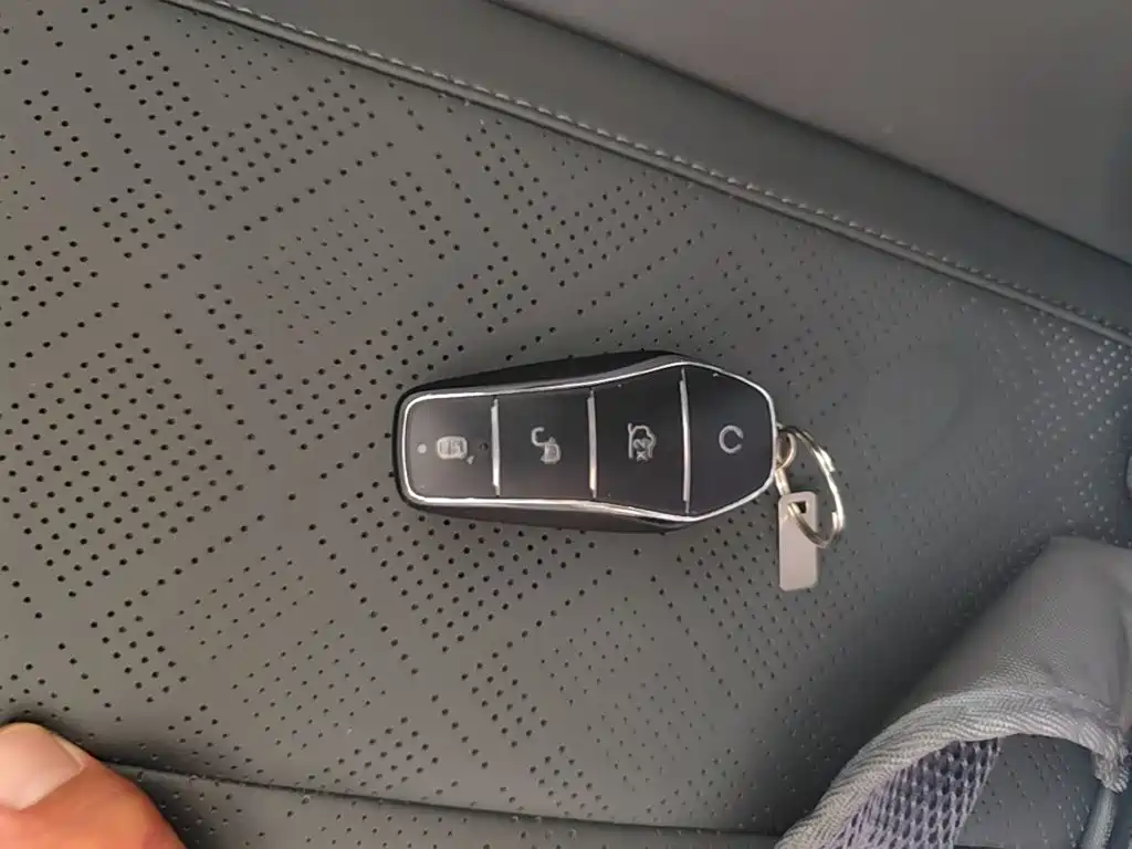 BYD Qin Plus PLUS 2025 DM-i Smart Drive 55KM