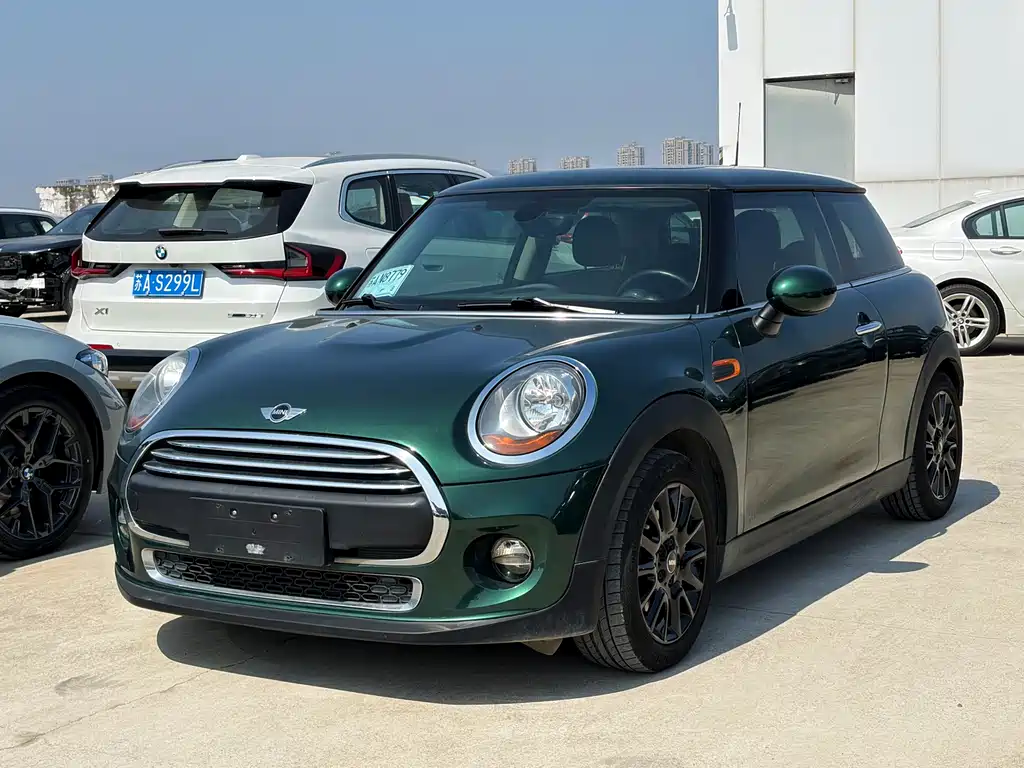 Mini Mini 2017