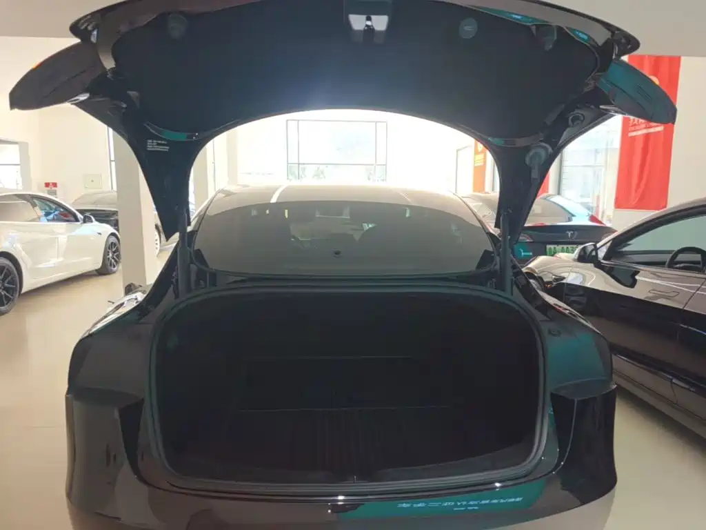 Tesla Model 3 — миниатюра 19