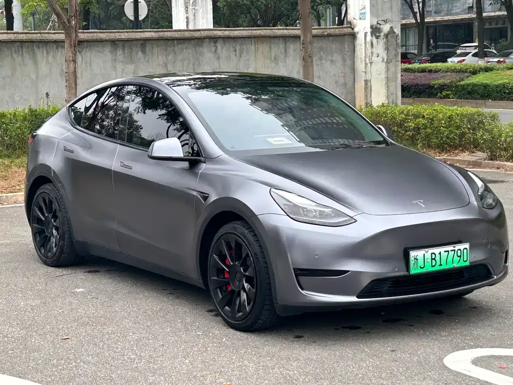 Tesla Model Y — миниатюра 3