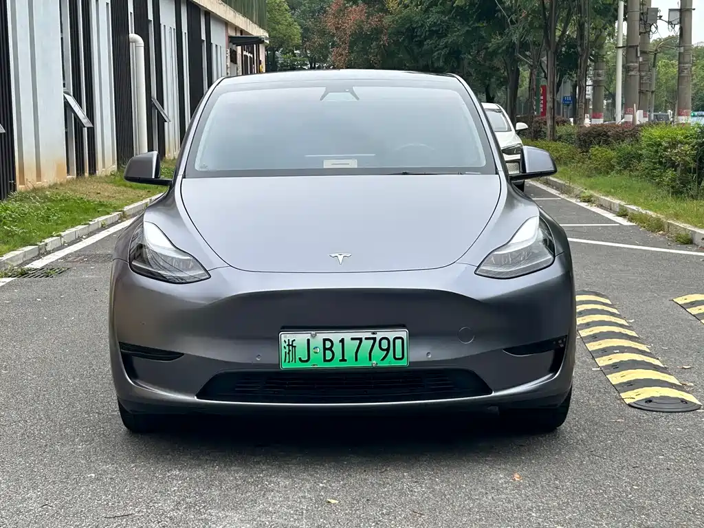 Tesla Model Y — миниатюра 10