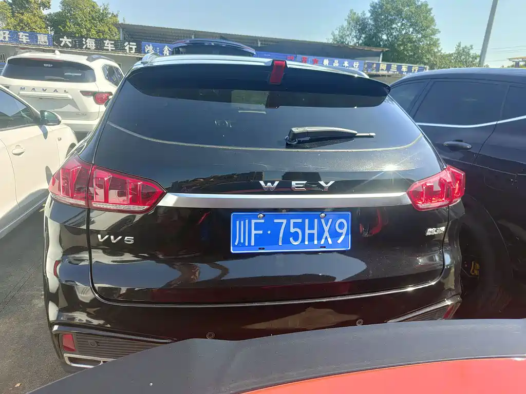 Wey Wey VV5 — миниатюра 15