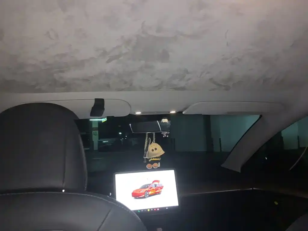 Tesla Model 3 — миниатюра 19