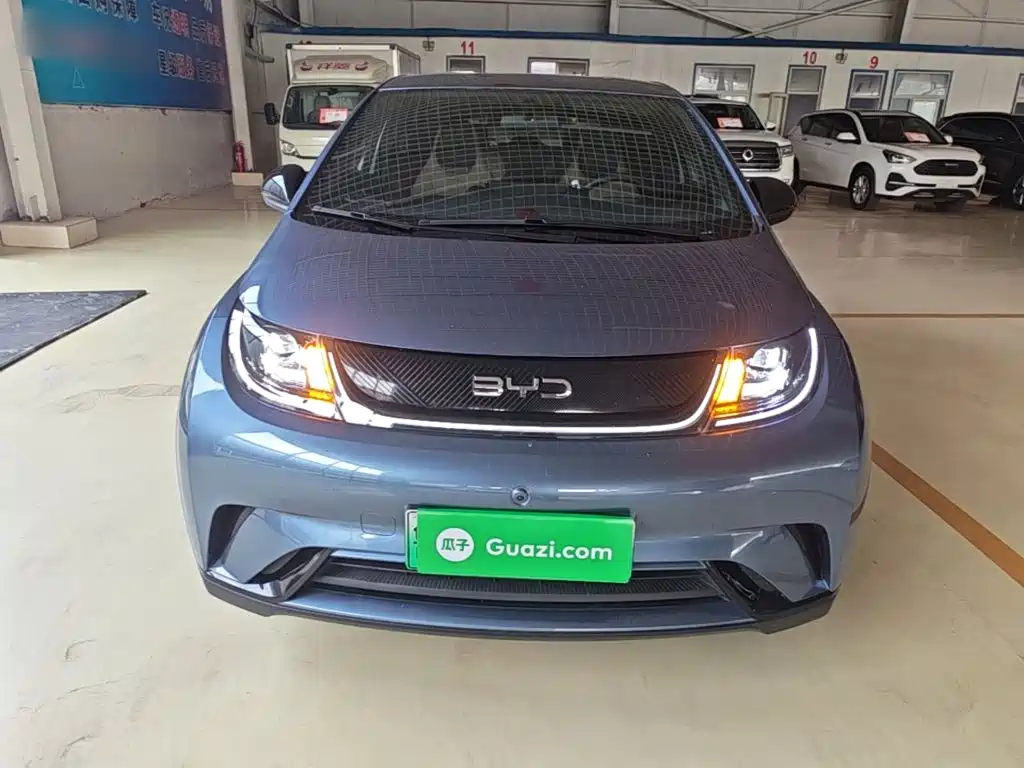 BYD Dolphin — миниатюра 3