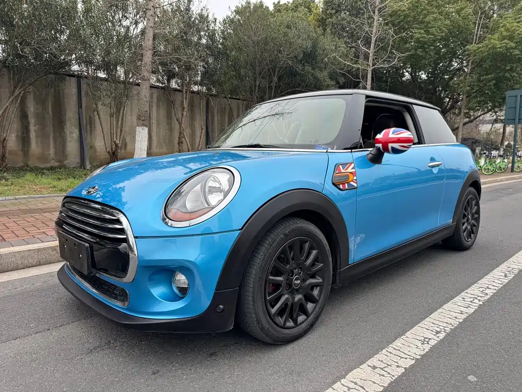 Mini Mini 2017