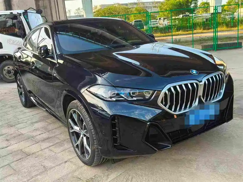 BMW X6 — миниатюра 2