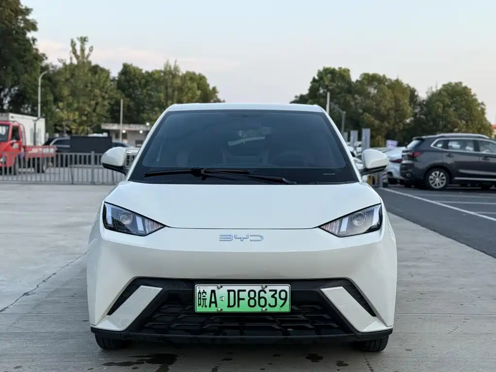 BYD Seagull 2024 305km