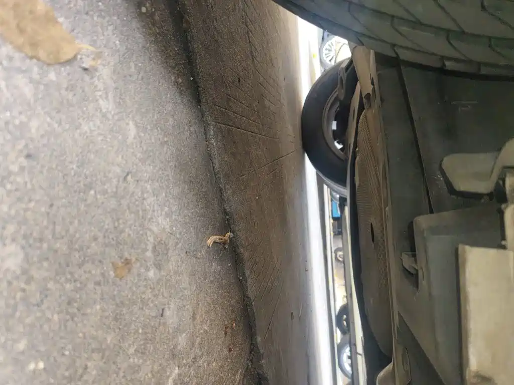 Toyota Corolla — миниатюра 18