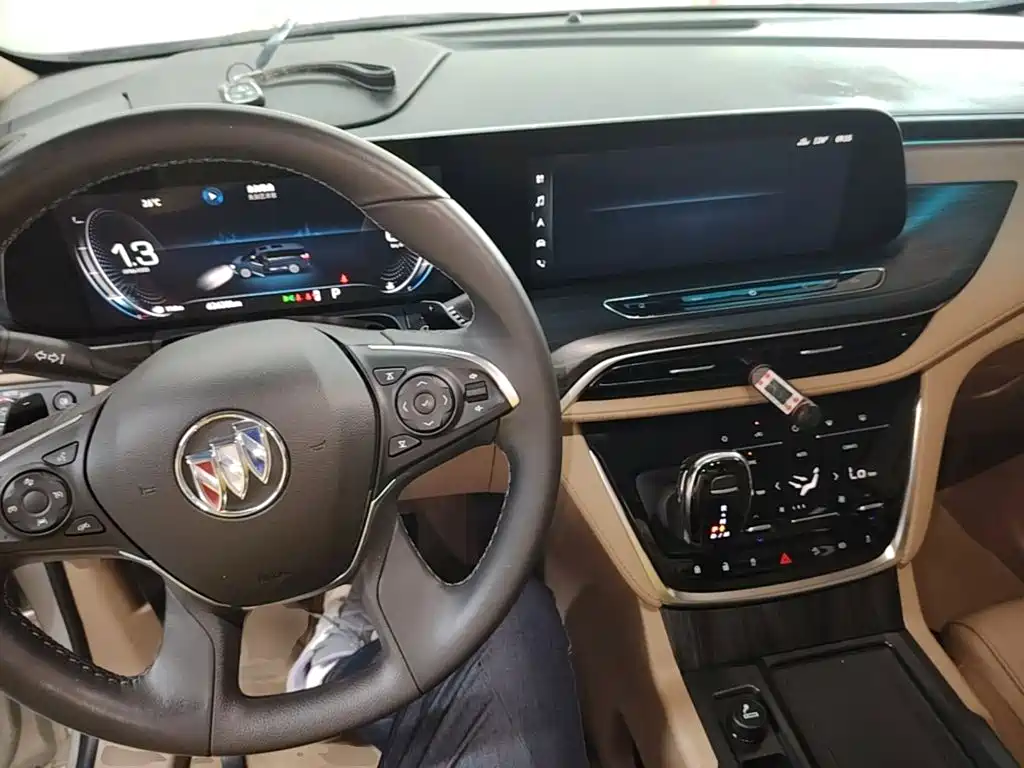 Buick GL8 — миниатюра 10