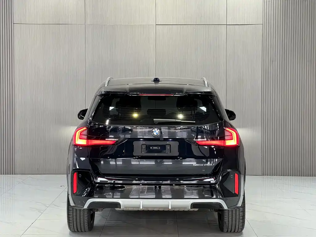 BMW X1 — миниатюра 10