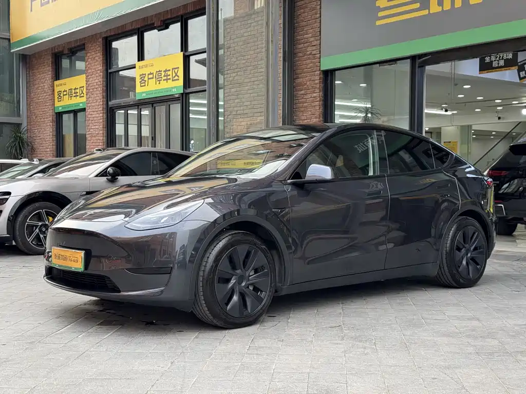 Tesla Model Y — миниатюра 4
