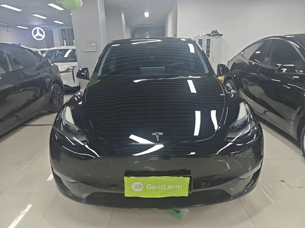 Tesla Model Y — миниатюра 3