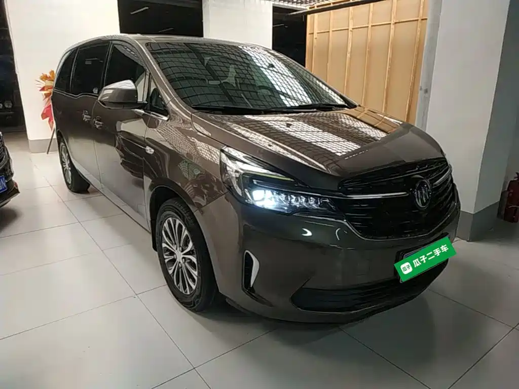 Buick GL8 — миниатюра 4