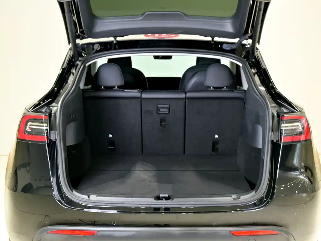 Tesla Model Y — миниатюра 5