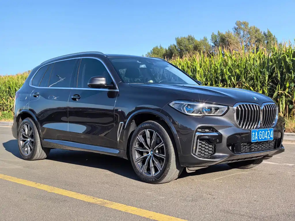 BMW X5 — миниатюра 3