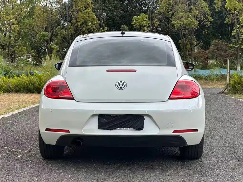 Volkswagen Beetle — миниатюра 8