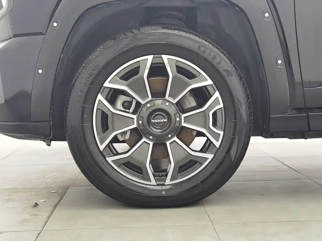 Haval Big Dog PLUS New Energy — миниатюра 17