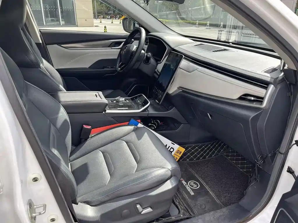 Weltmeister WEIMA EX5