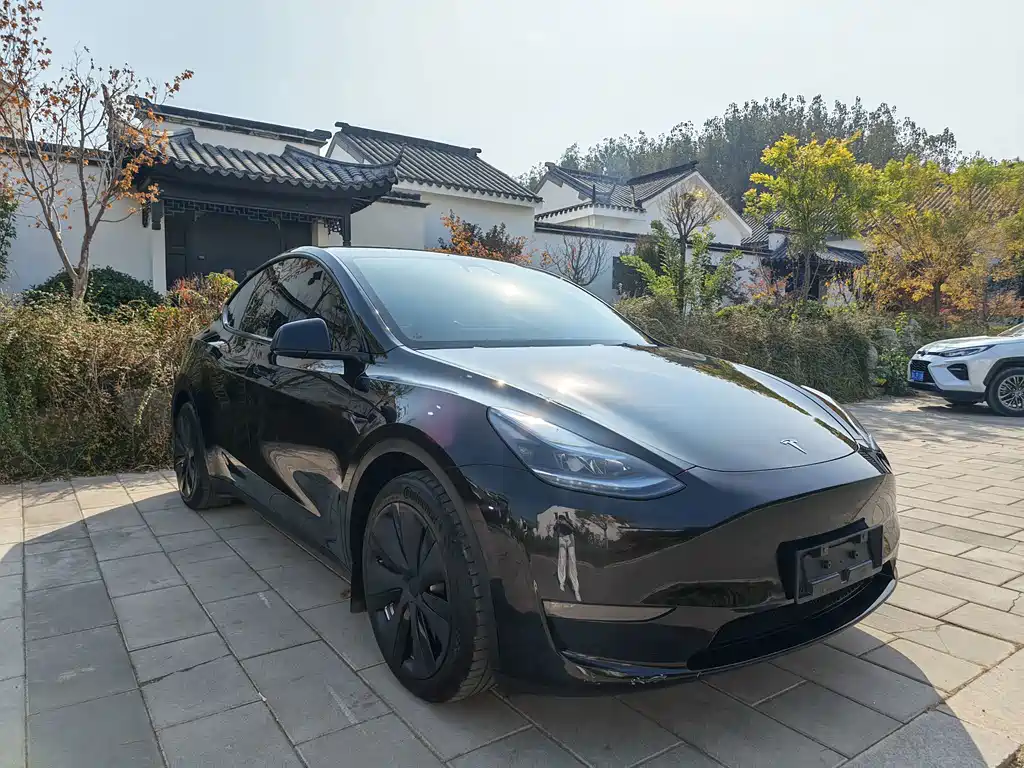 Tesla Model Y — миниатюра 3