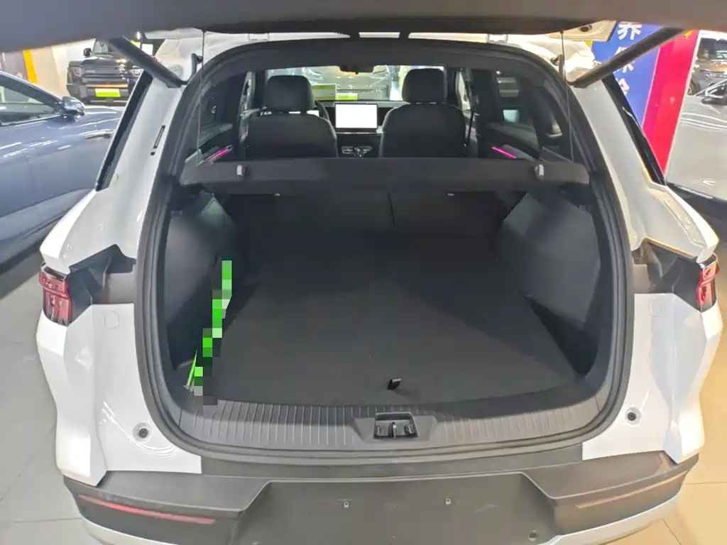 BYD Pro New Energy — миниатюра 19