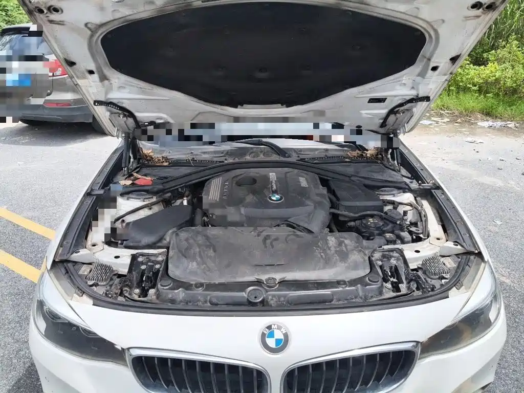 BMW 3 Series GT — миниатюра 11