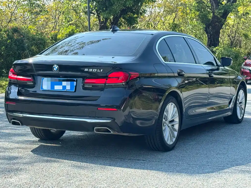 BMW 5 Series — миниатюра 4