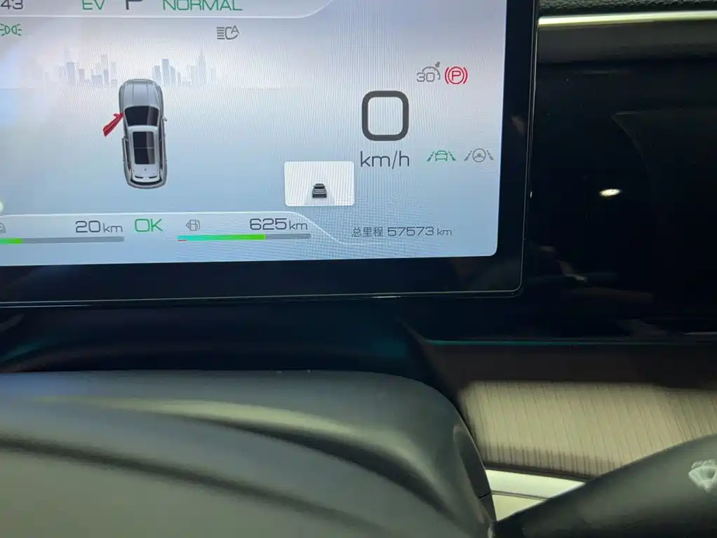 BYD Pro New Energy — миниатюра 13