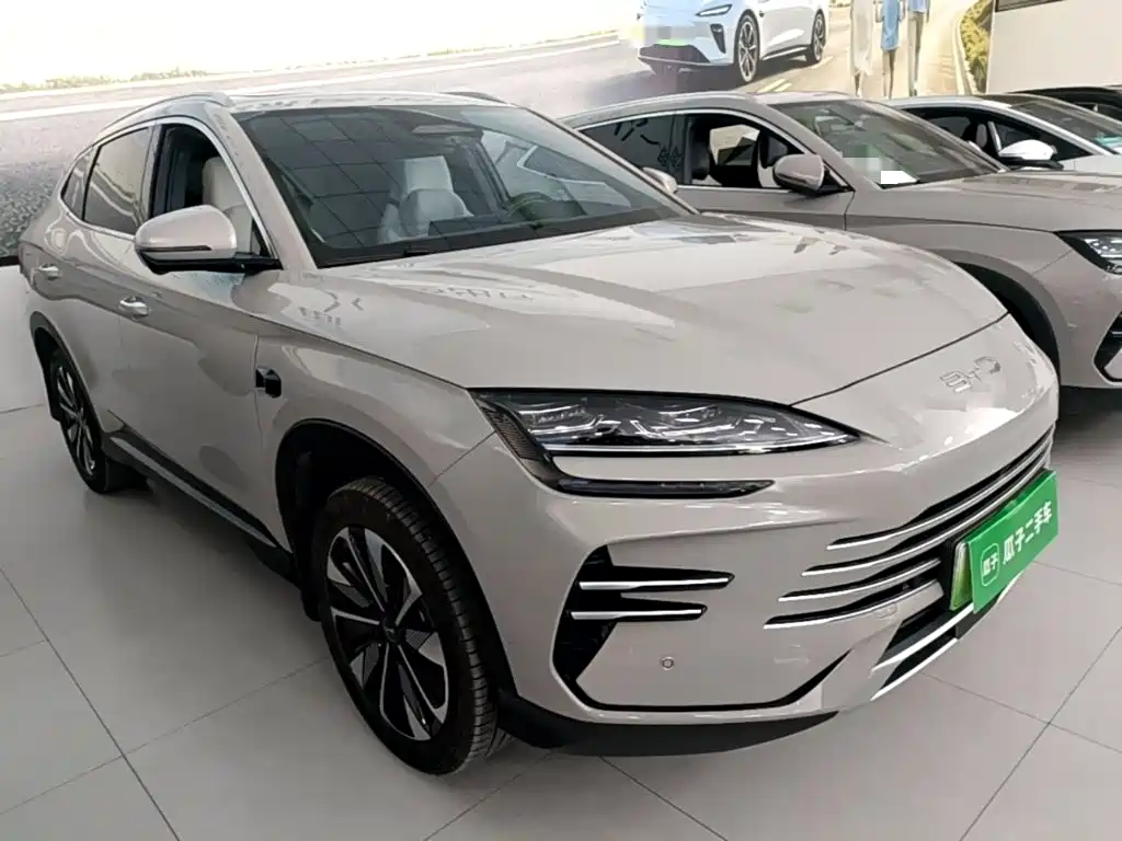 BYD PLUS New Energy — миниатюра 4