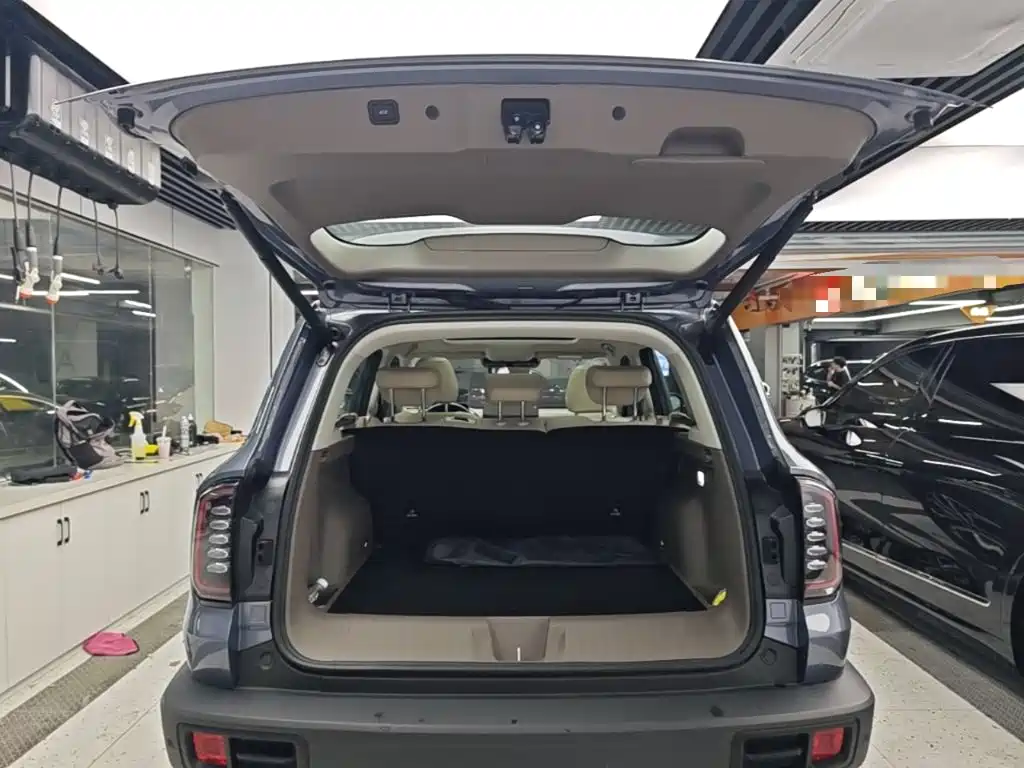 Haval Big Dog — миниатюра 19