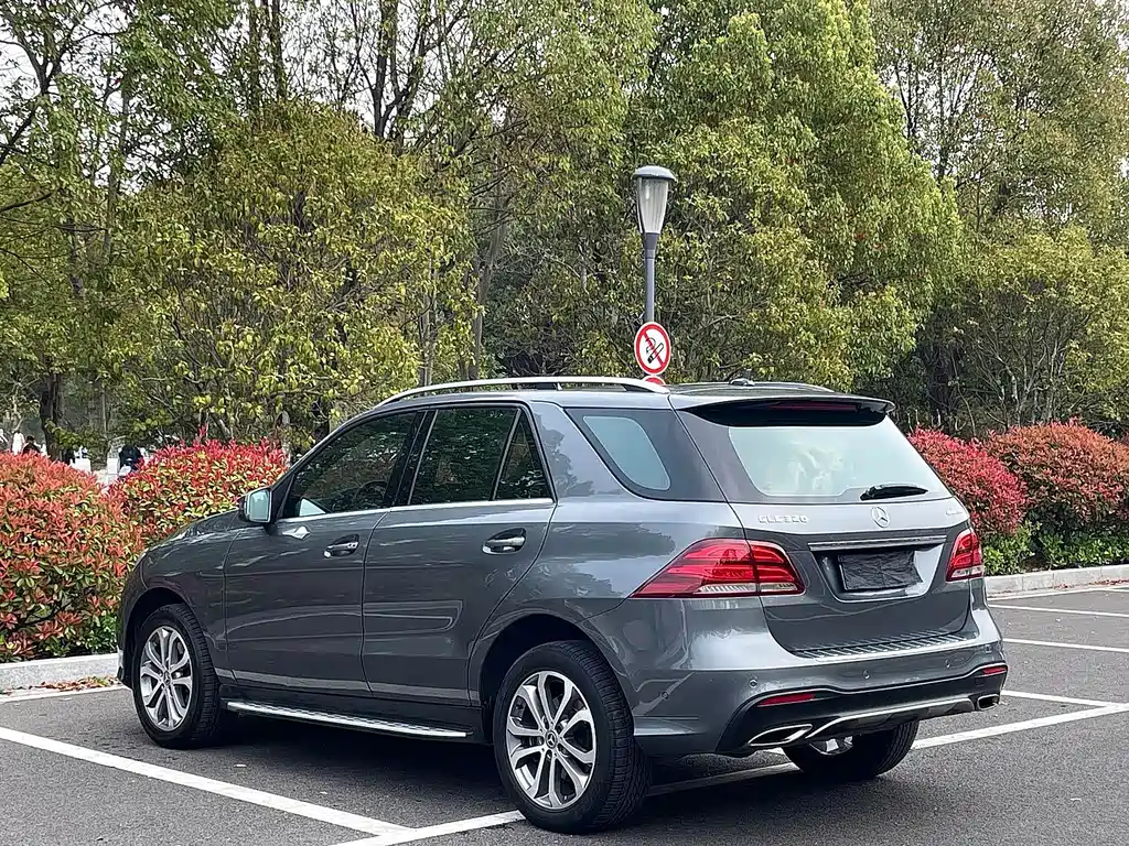 Mercedes-Benz 奔驰GLE(进口) — миниатюра 5