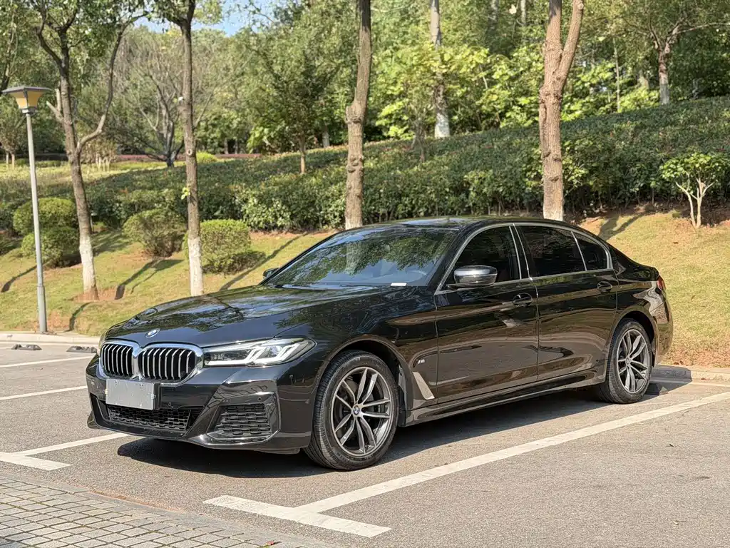 BMW 5 Series — миниатюра 3