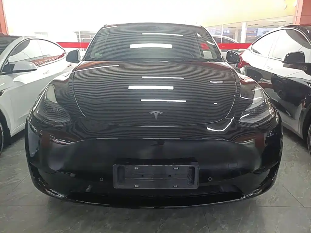 Tesla Model Y — миниатюра 3