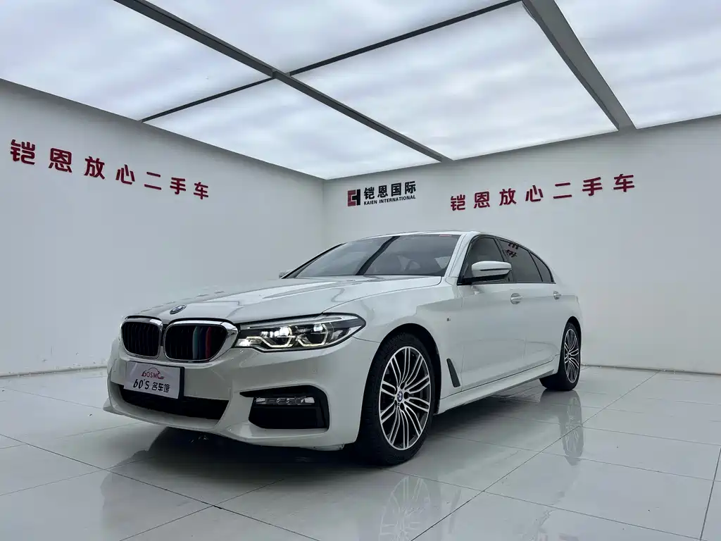 BMW 5 SERIES