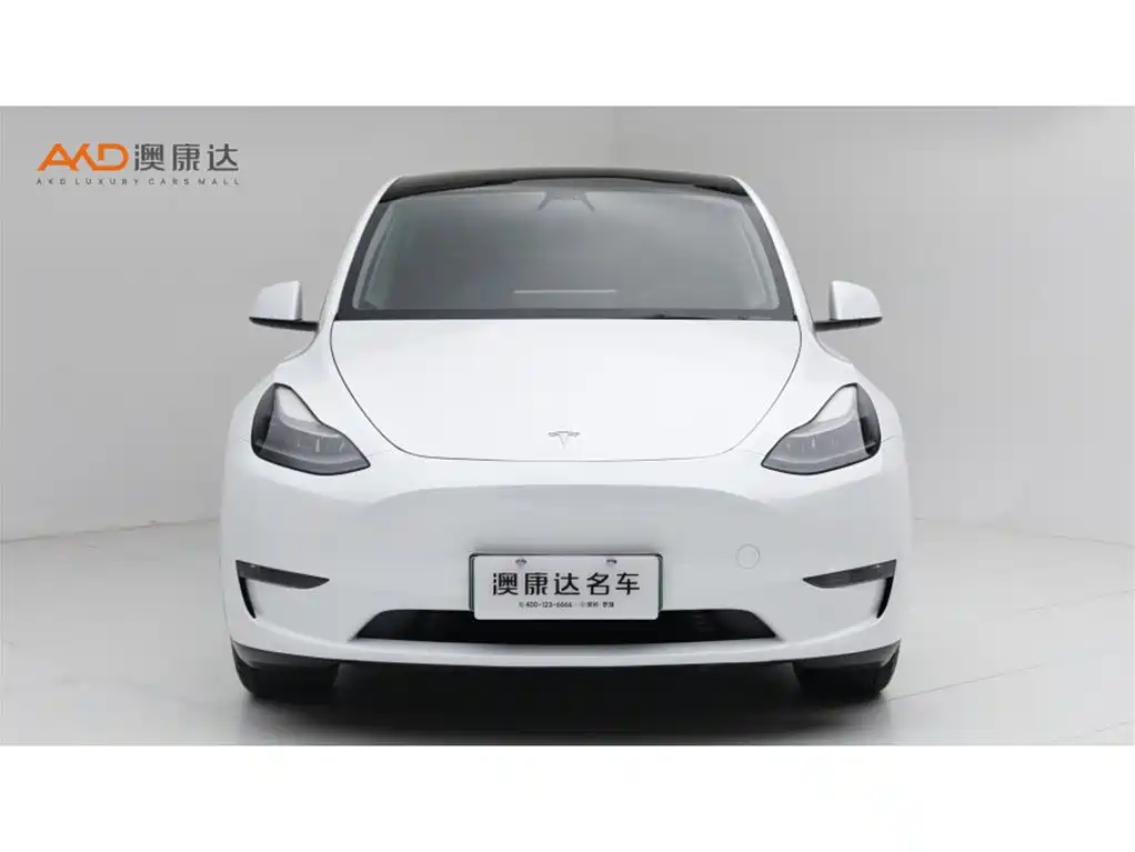 Tesla Model Y — миниатюра 2