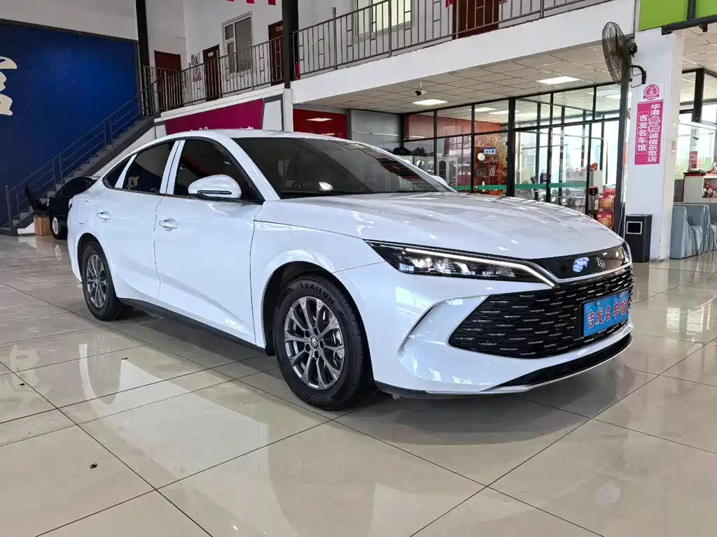 BYD QIN L