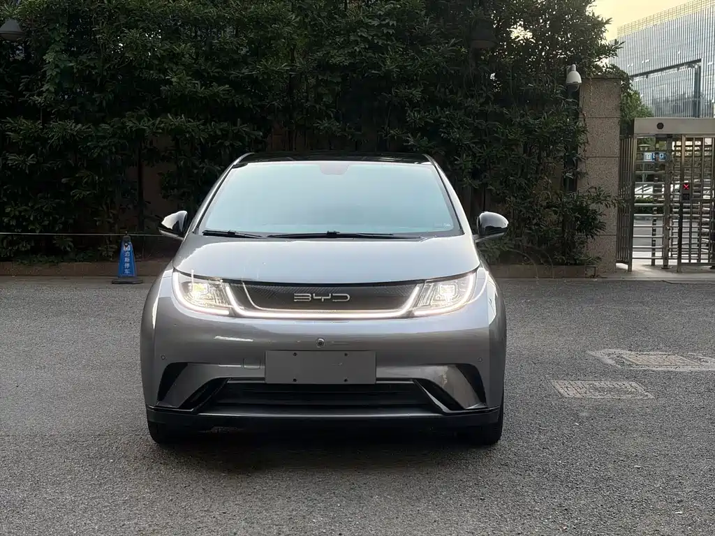 BYD Dolphin — миниатюра 2