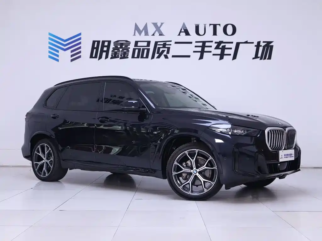 BMW X5 — миниатюра 5
