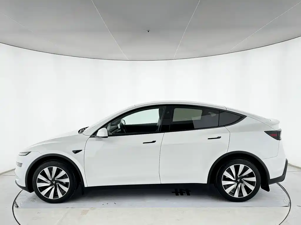 Tesla Model Y — миниатюра 2
