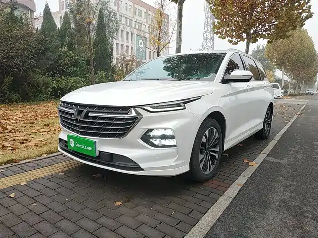 WULING WULING CAPGEMINI