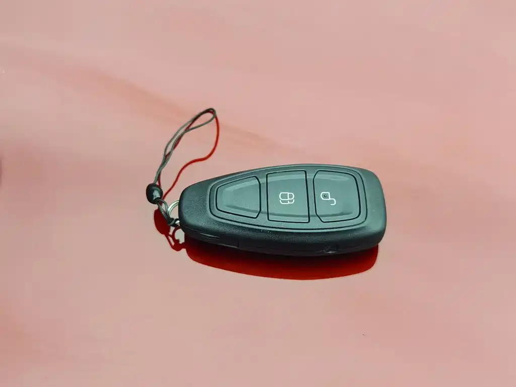 Ford Ecosport — миниатюра 19