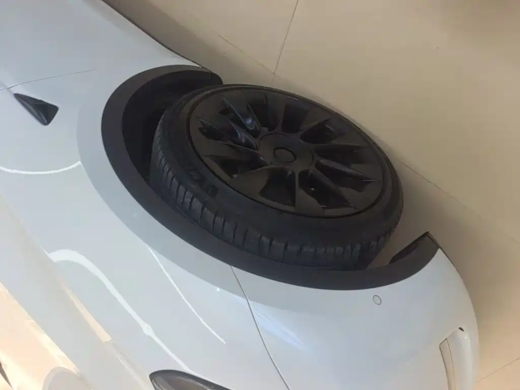 Tesla Model Y — миниатюра 23