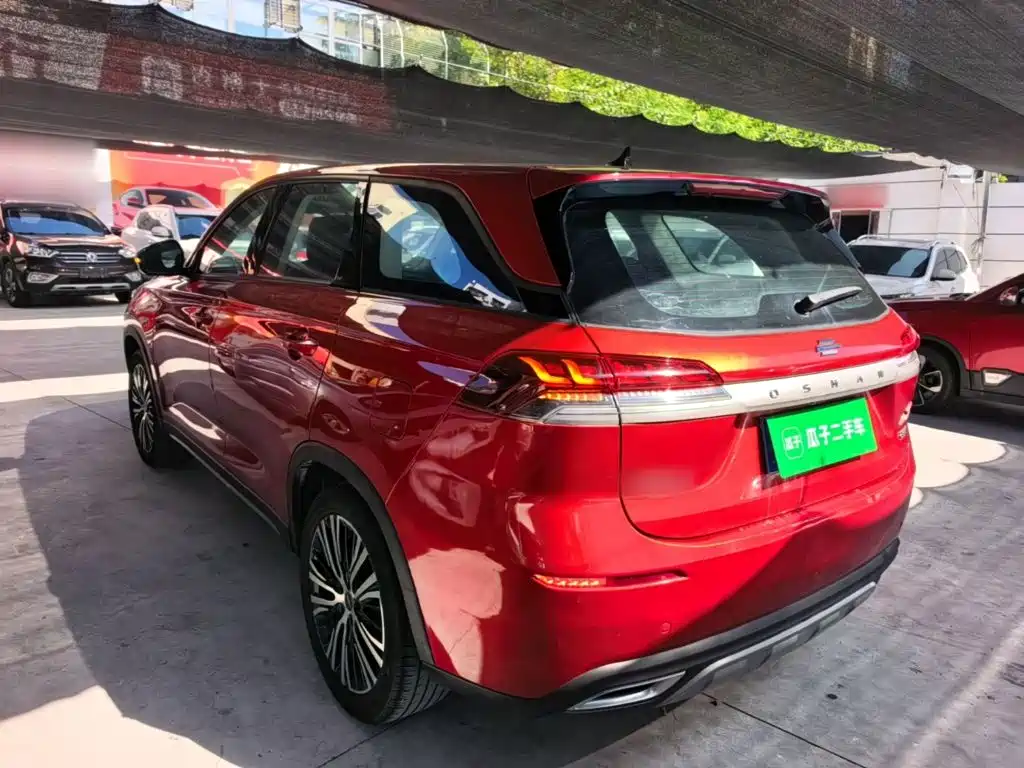 Oshan Oushang X7 — миниатюра 5