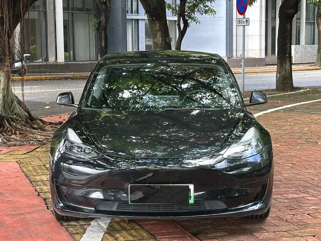 Tesla Model 3 — миниатюра 2